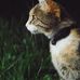 Debra Starkey - Facebook