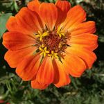 Debra Stitt - @debrastitt - Instagram
