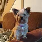 Debra Stover - Facebook