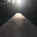 Debra Stringfellow - @debee_hive - Instagram