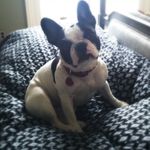 Debra Stroud - @stroud.debra - Instagram