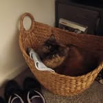 Debra Stroud - @dkstroud48 - Instagram