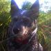 Debbie Struble - Facebook