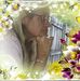 Deborah Struble - Facebook