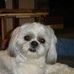 Debra Struble - Facebook