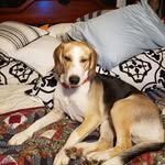 Debra Struble - @struble.deb.ds - Instagram