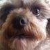 Deborah Strunk - Facebook