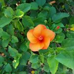 Debra Stuckey - @stuckeydebra - Instagram