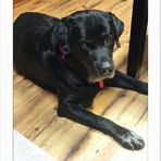 Debra Stuckey - Facebook