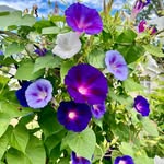 Deborah Studer - @deb_studer - Instagram