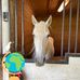 Deborah Suder - Facebook