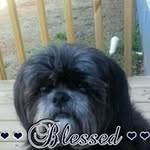 Debra Styles - @stylesdebra - Instagram