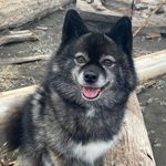 Deb Lauver Suggs - @debrasuggs - Instagram