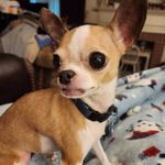 Deborah Helms Suggs - @dsuggs517 - Instagram