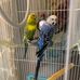 Debra Summers - Facebook