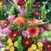 Debra Sumner - Facebook