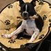 Debra Sumner - Facebook