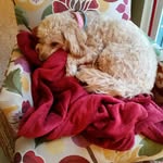Debra Sunderland - @sunderlanddebra - Instagram