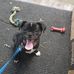 Debbie Swartzlander - Facebook