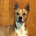 Debra Swartzlander - @dkswartz717 - Instagram