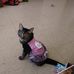 Debra Sweeney - Facebook