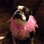 Debra Sweeney - @sweeney6511 - Instagram