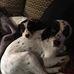 Debra Talbot - Facebook