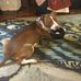Debra Dent - Facebook