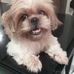 Debra Tantoy - Facebook