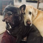 Debra A Tappe - @debratappe - Instagram