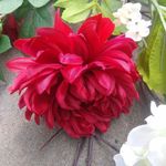 Debra Tappin - @debratappin - Instagram