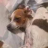 deborahtarango - @deborahtarango - TikTok