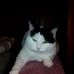 Debra Tarr - Facebook