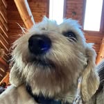 Deb Teague-Raschella - @teagueraschella - Instagram