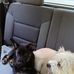 Deborah Teague - Facebook