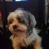 Debran Teague - @debran.teague - TikTok