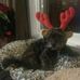 Debra Teal - Facebook