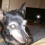 Debra Tedder - Facebook