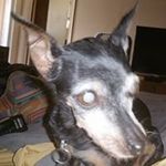 Debra Tedder Tedder - @debrateddertedder - Instagram