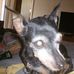 Debra Tedder Tedder - Facebook