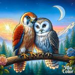 Debra Terrell - @debr.aterrell56 - Instagram