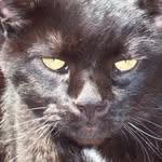 Debra J Tester - @djtester111 - Instagram