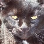 Debra J Tester - @dtester111 - Instagram