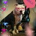 Debra Tharnish - Facebook