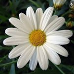 @debra_toms - Instagram