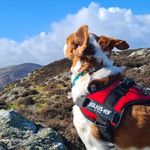 Debra Townsend - @townsend_debra - Instagram