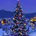 Debra Trotter - Facebook