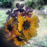 @debratrout - Instagram