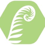 Fern Studio Design - @debratyson2 - Instagram