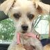 Deb Vandiver - Facebook